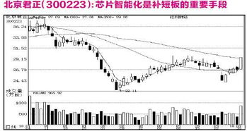 物联网技术服务 企业研究与未来展望